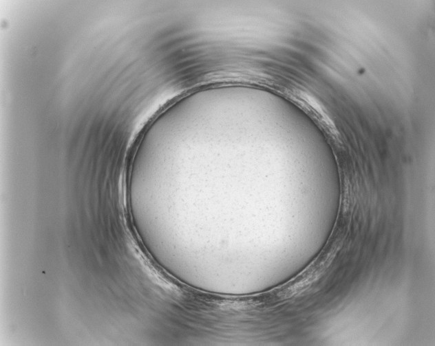 X0000088620796200706221454