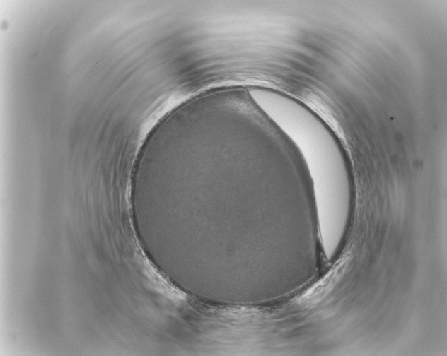 X0000088620797200706221454