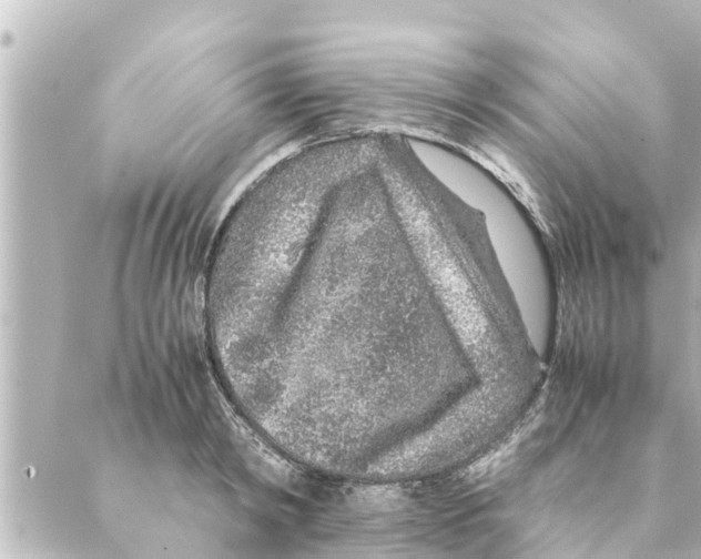 X0000088620798200706221454