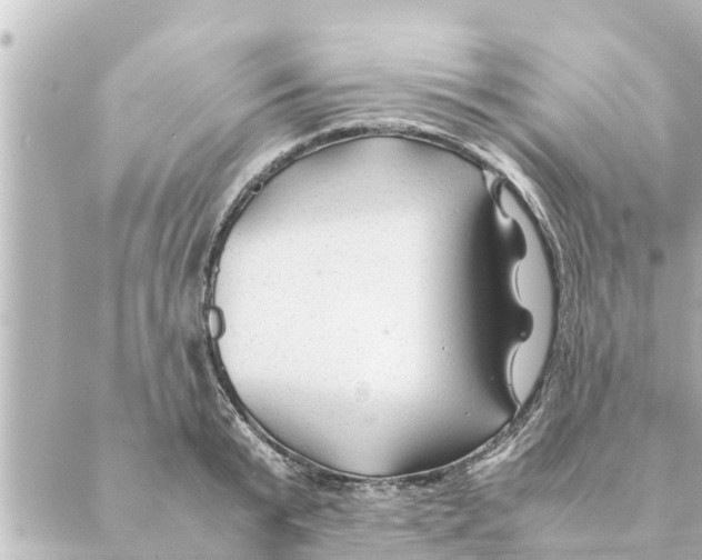 X0000088620799200706221454