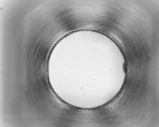 X0000088620800200706221454