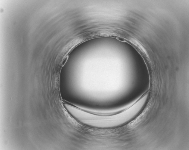 X0000088620801200706221454