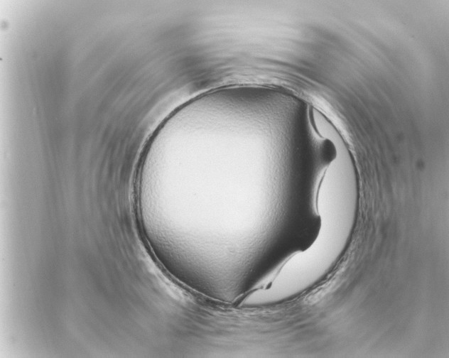 X0000088620803200706221454