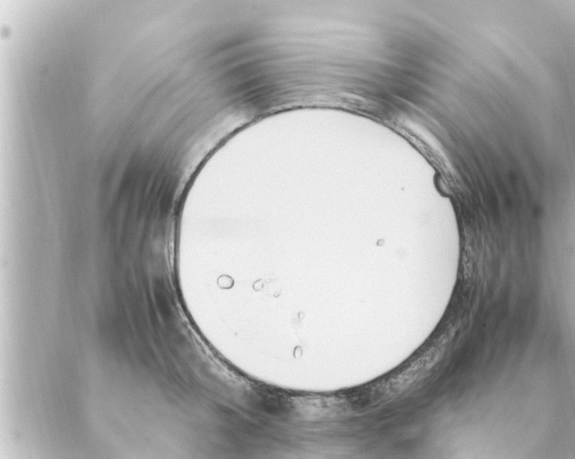 X0000088620804200706221454