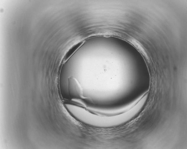 X0000088620805200706221454