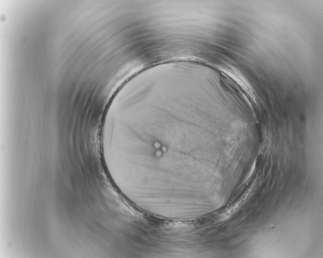 X0000088620806200706221454