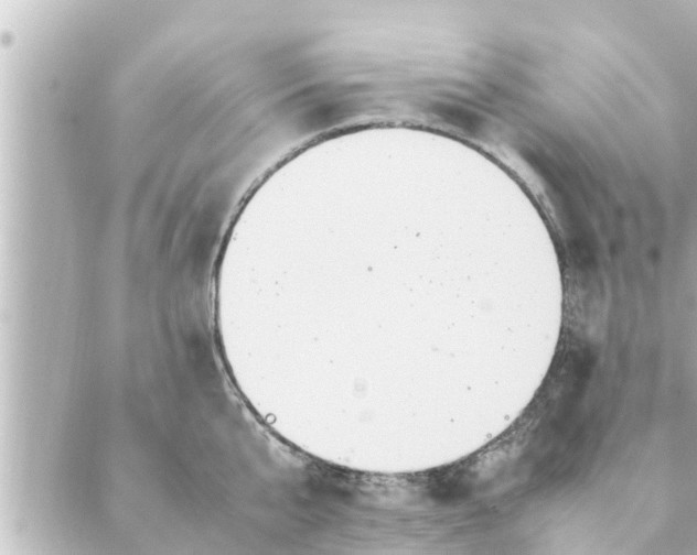 X0000088620807200706221454