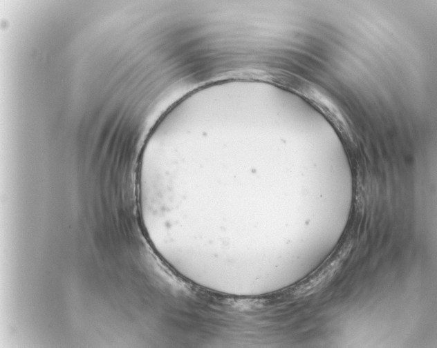 X0000088620808200706221454