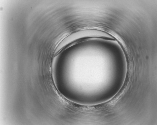 X0000088620809200706221454