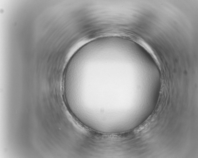 X0000088620811200706221454