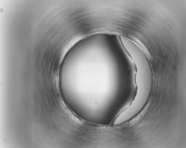 X0000088620812200706221454