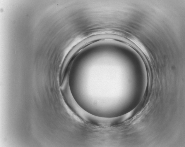 X0000088620813200706221454