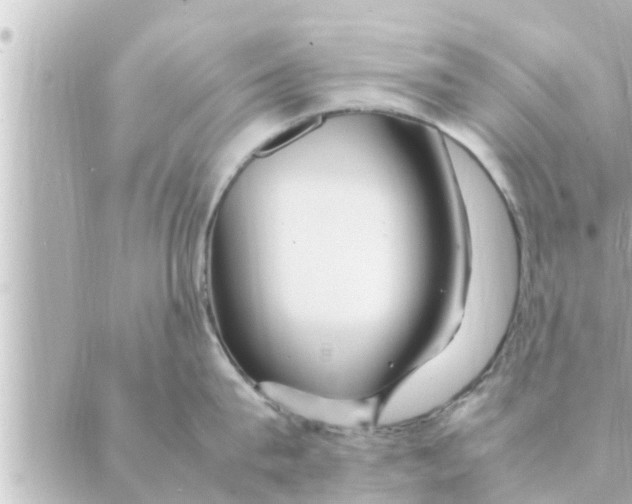 X0000088620815200706221454