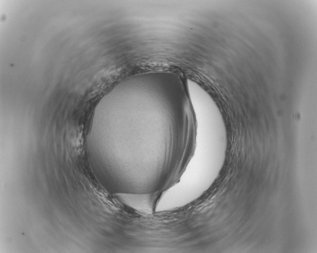 X0000088620818200706221453