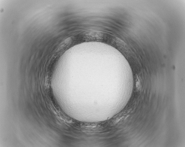 X0000088620819200706221453