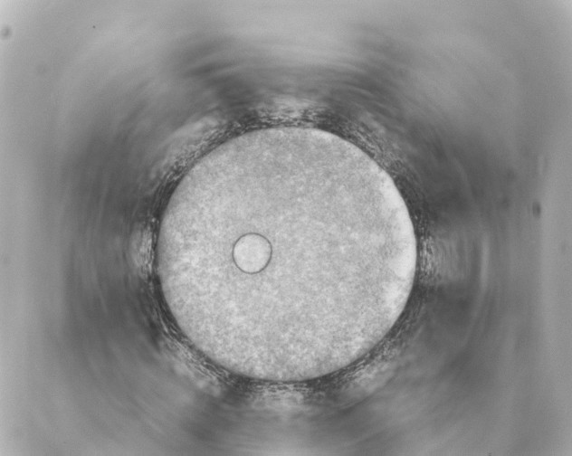 X0000088620820200706221453