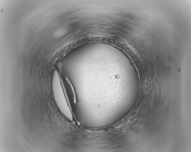 X0000088620821200706221453