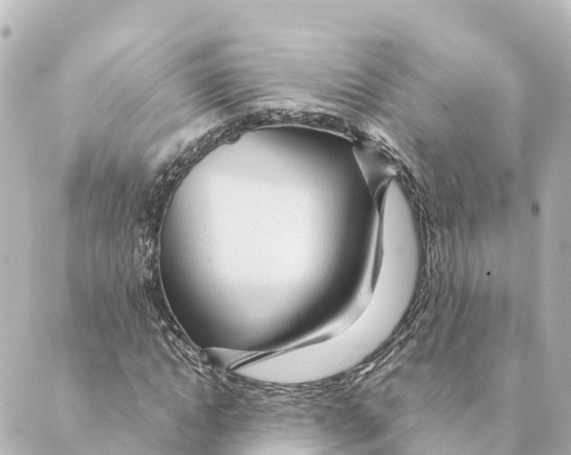 X0000088620822200706221453