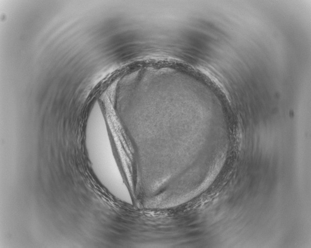 X0000088620823200706221453