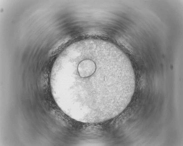 X0000088620824200706221453