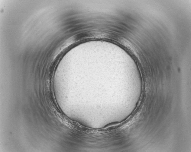 X0000088620827200706221453