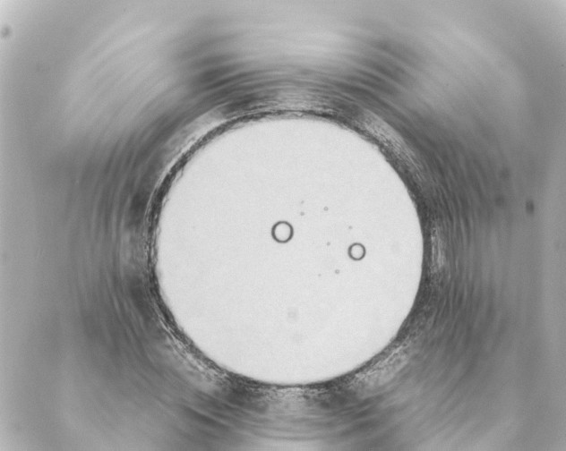 X0000088620828200706221453