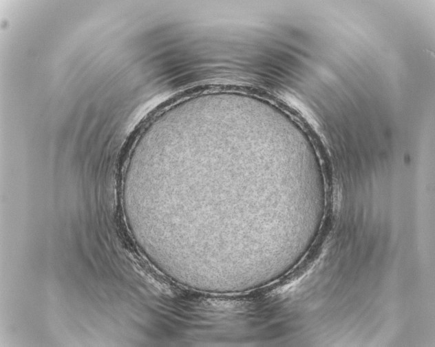 X0000088620829200706221453