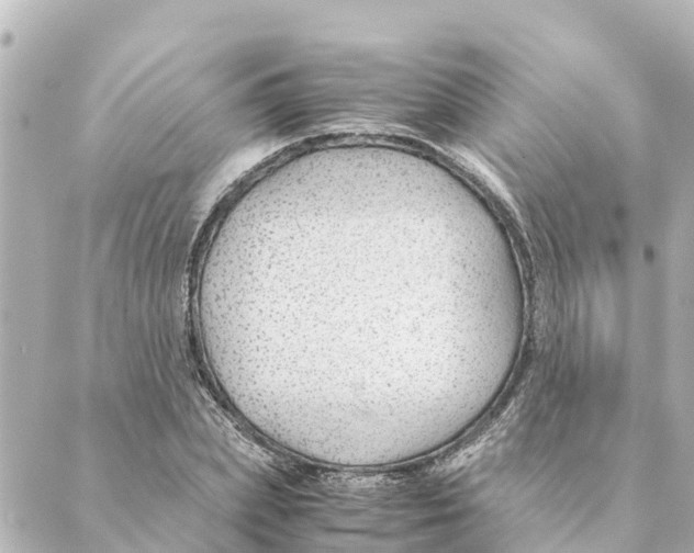 X0000088620831200706221453