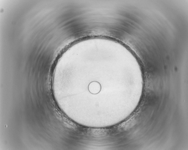 X0000088620832200706221453