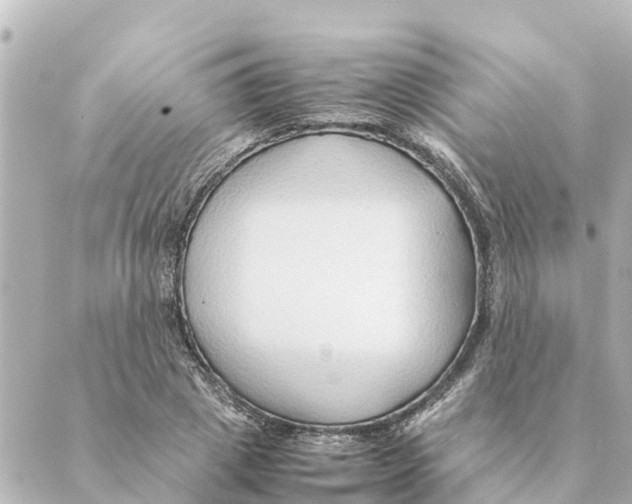 X0000088620833200706221453