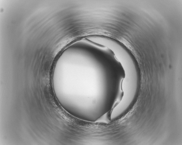 X0000088620834200706221453