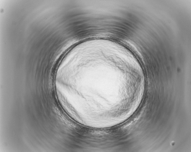 X0000088620835200706221453