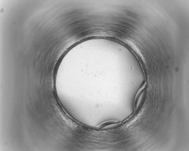 X0000088620837200706221453