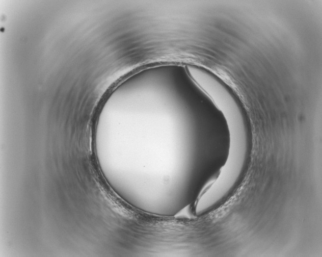 X0000088620838200706221453