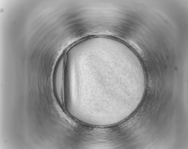 X0000088620840200706221453