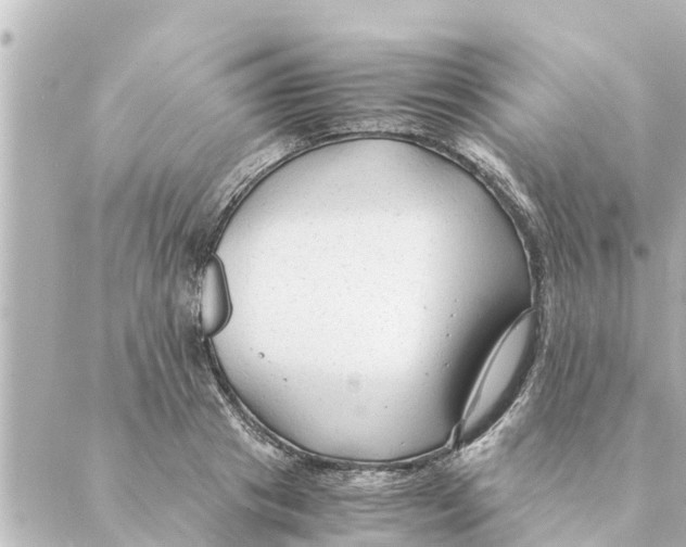 X0000088620841200706221453