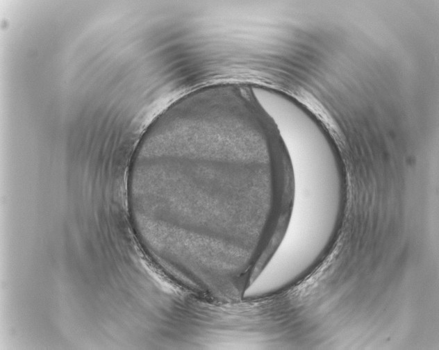 X0000088620842200706221453