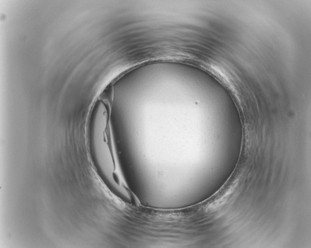 X0000088620843200706221453