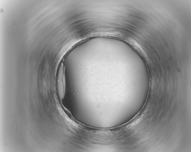 X0000088620844200706221453