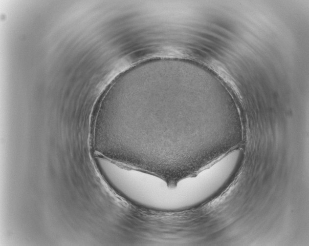 X0000088620845200706221453