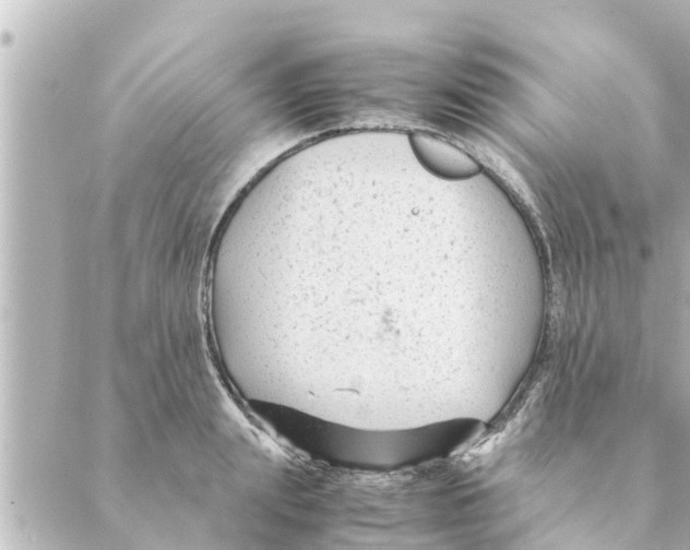 X0000088620847200706221453