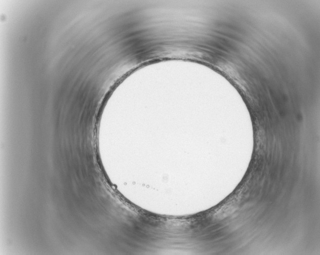 X0000088620848200706221453