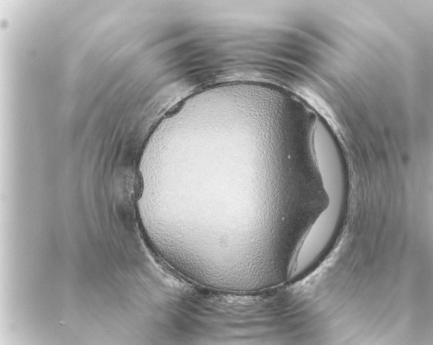 X0000088620849200706221453