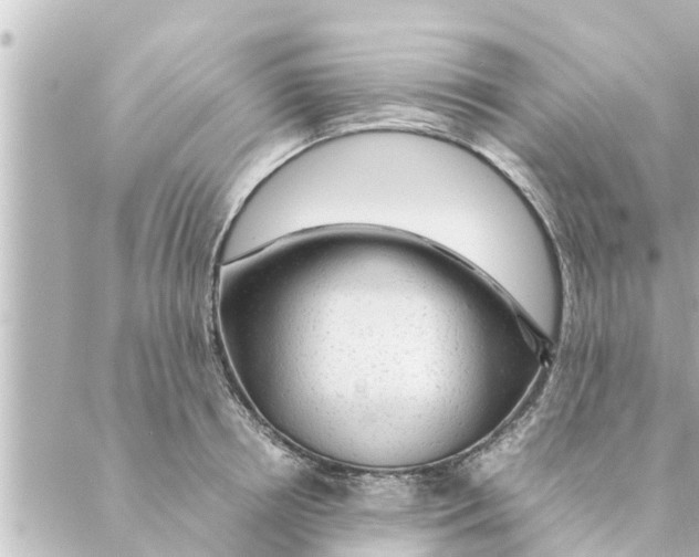 X0000088620850200706221453