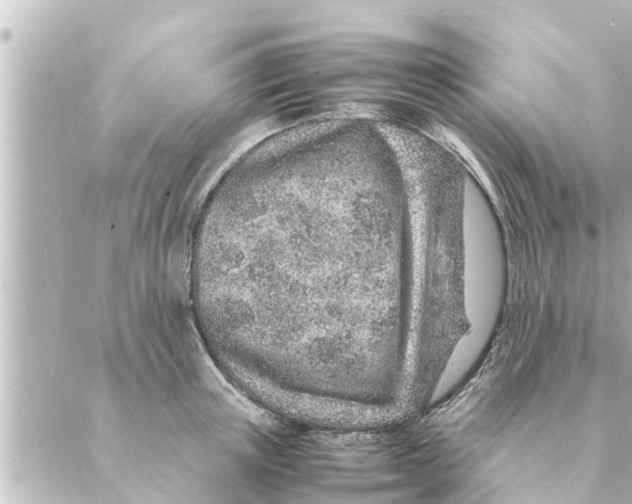 X0000088620851200706221454