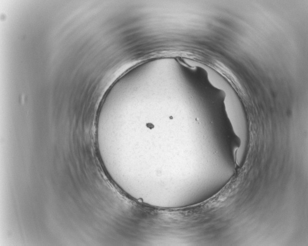 X0000088620852200706221454