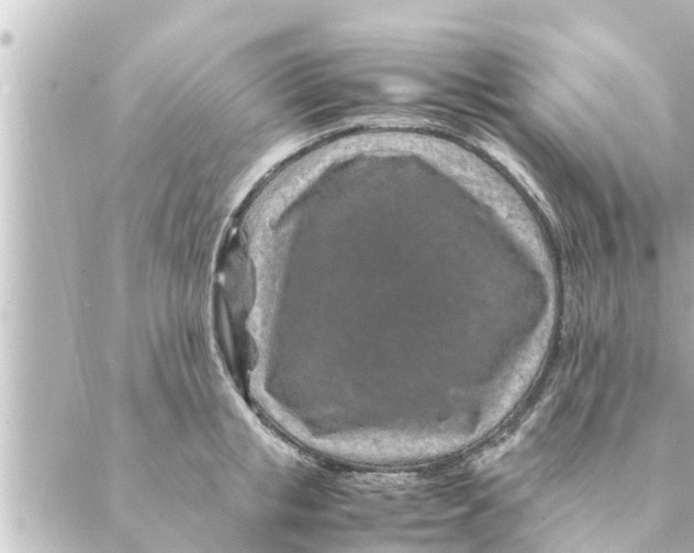 X0000088620853200706221454