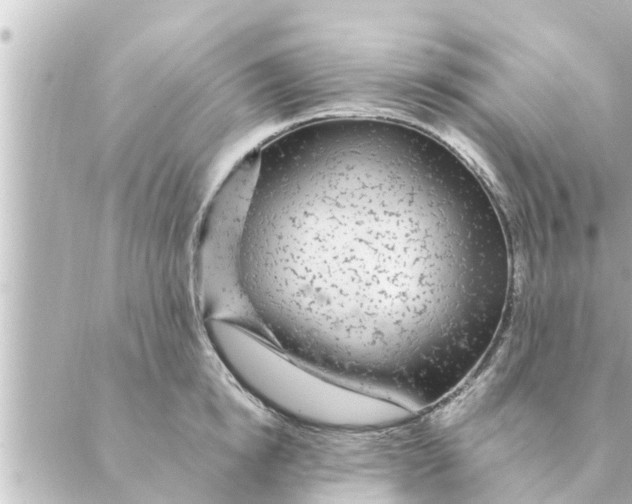 X0000088620854200706221454