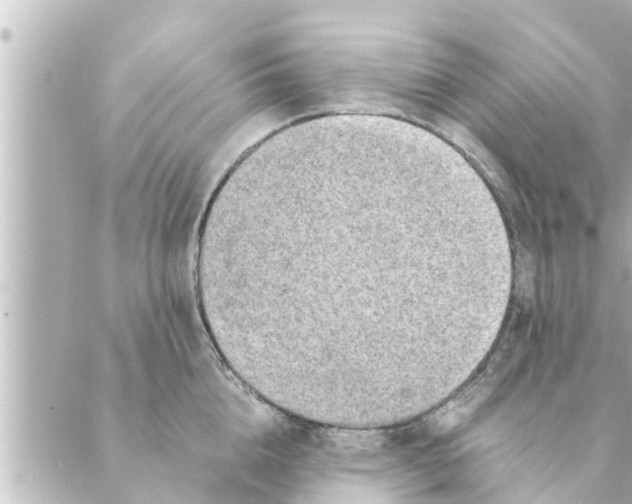 X0000088620856200706221454