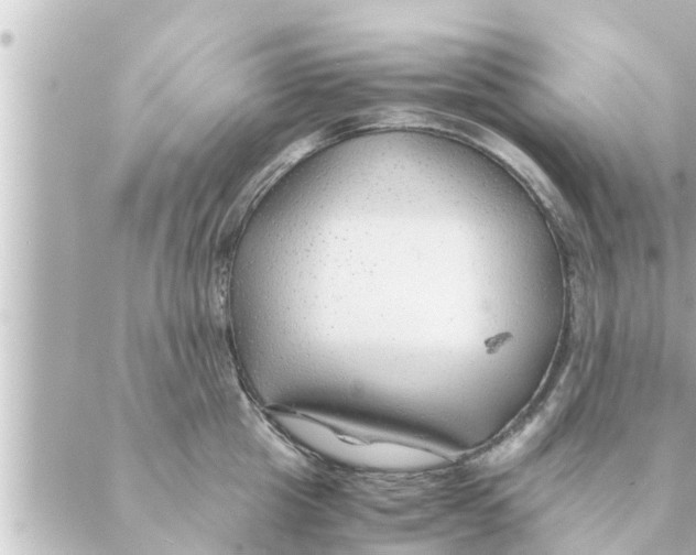 X0000088620857200706221454